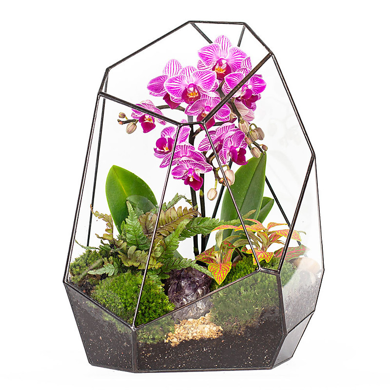 Флорариум "Калипсо"